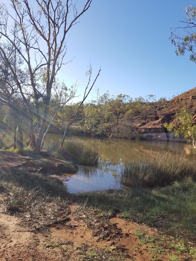 Ellendale Pool