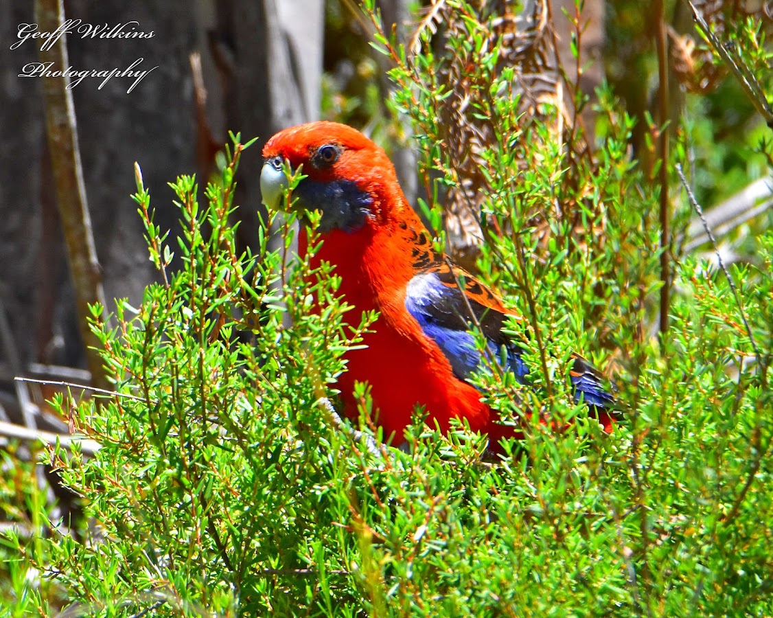 Warra National Park