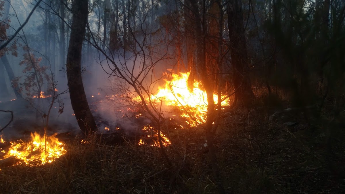 Warra National Park