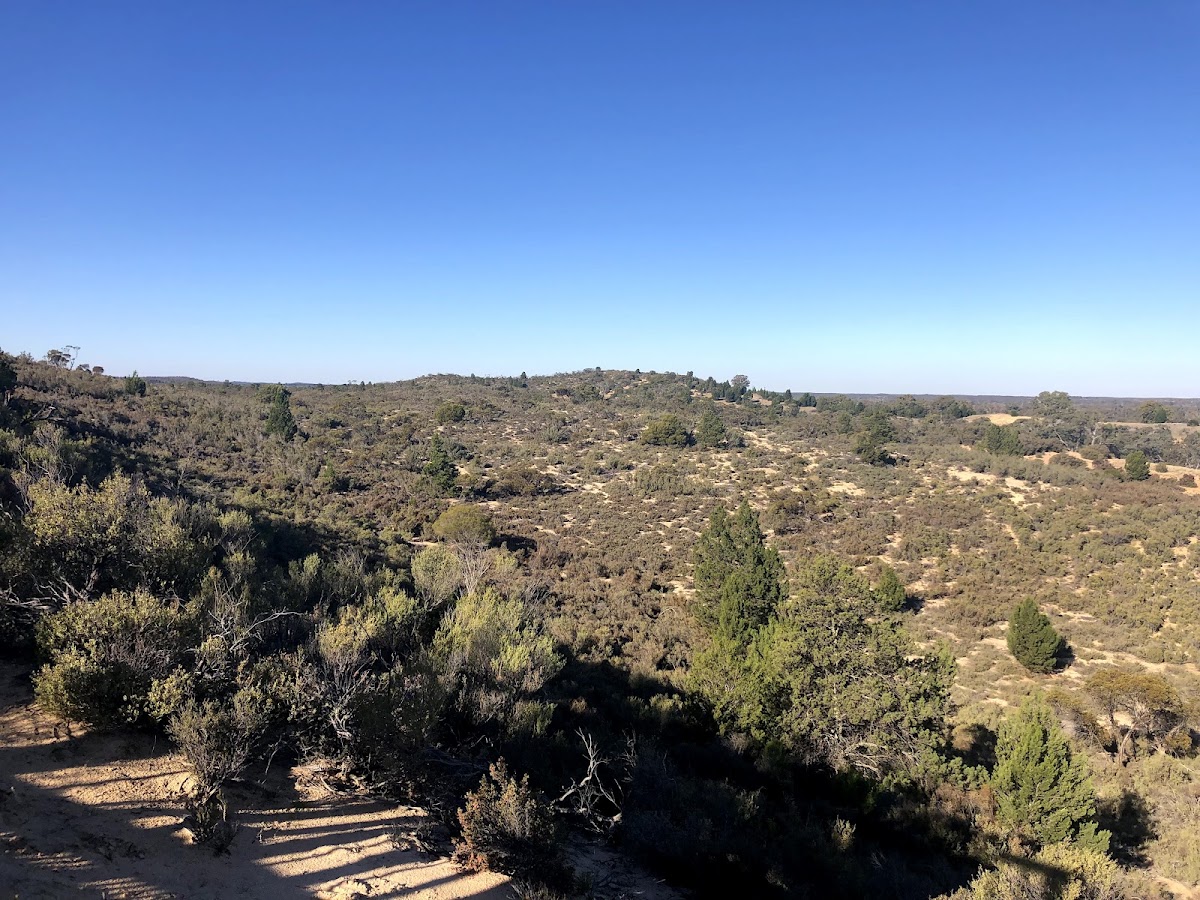 Wyperfeld National Park