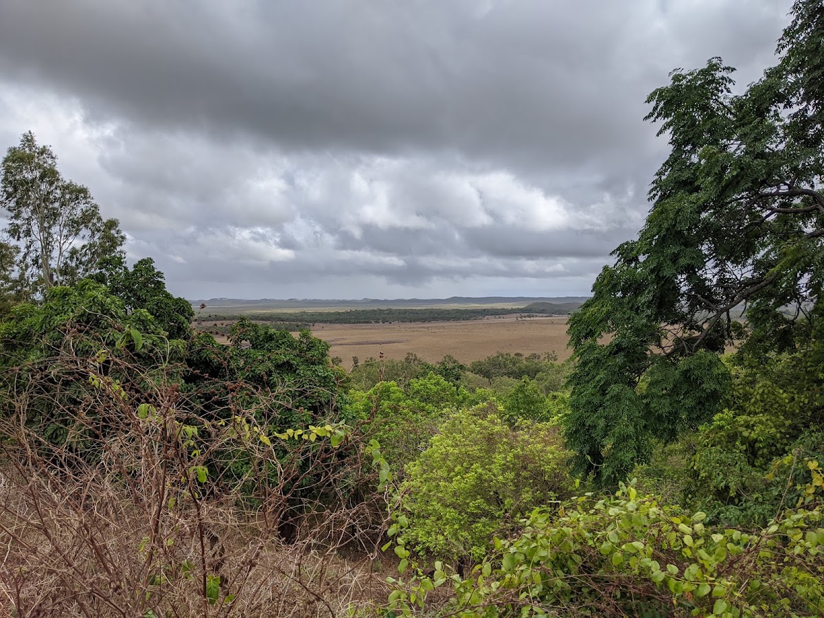 Daarrba National Park (Cape York Peninsula Aboriginal Land)