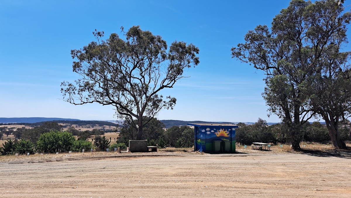 Lions Lookout