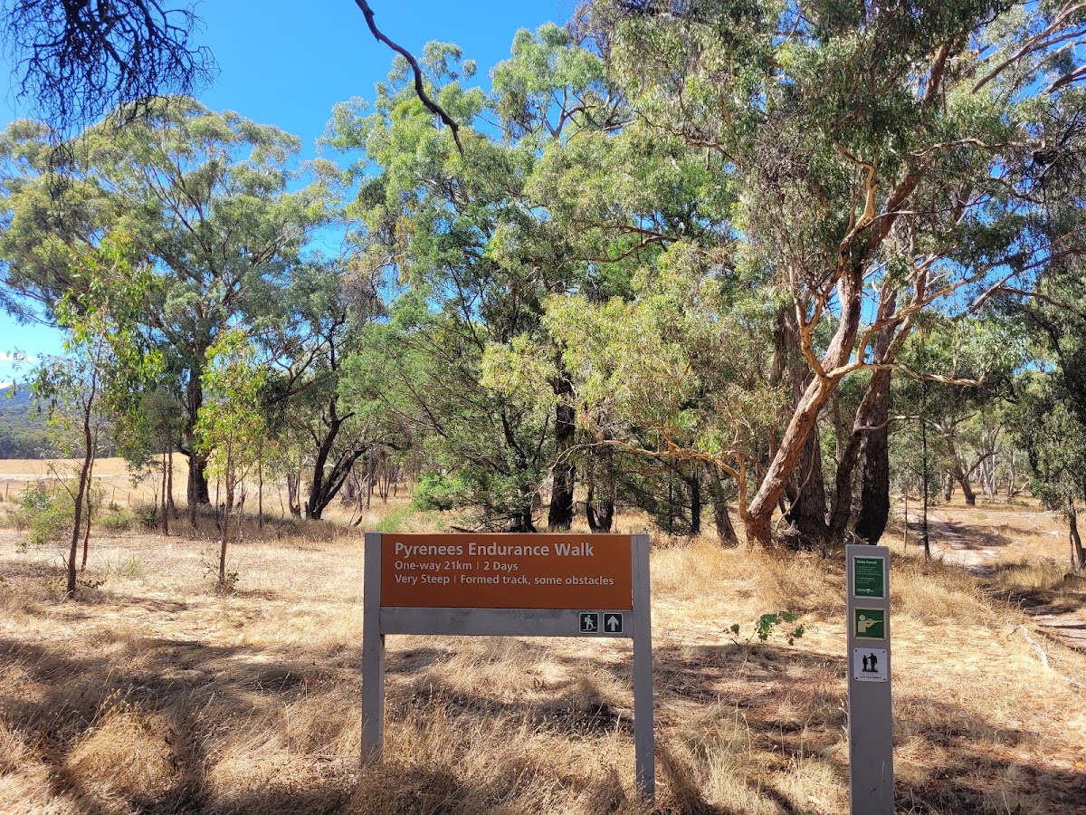 Limpyers State Forest