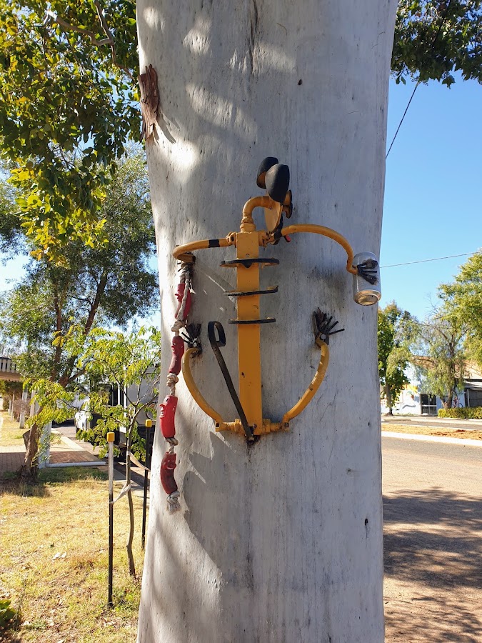 Augathella Rest Area - Warrego Park - Overflow Campground
