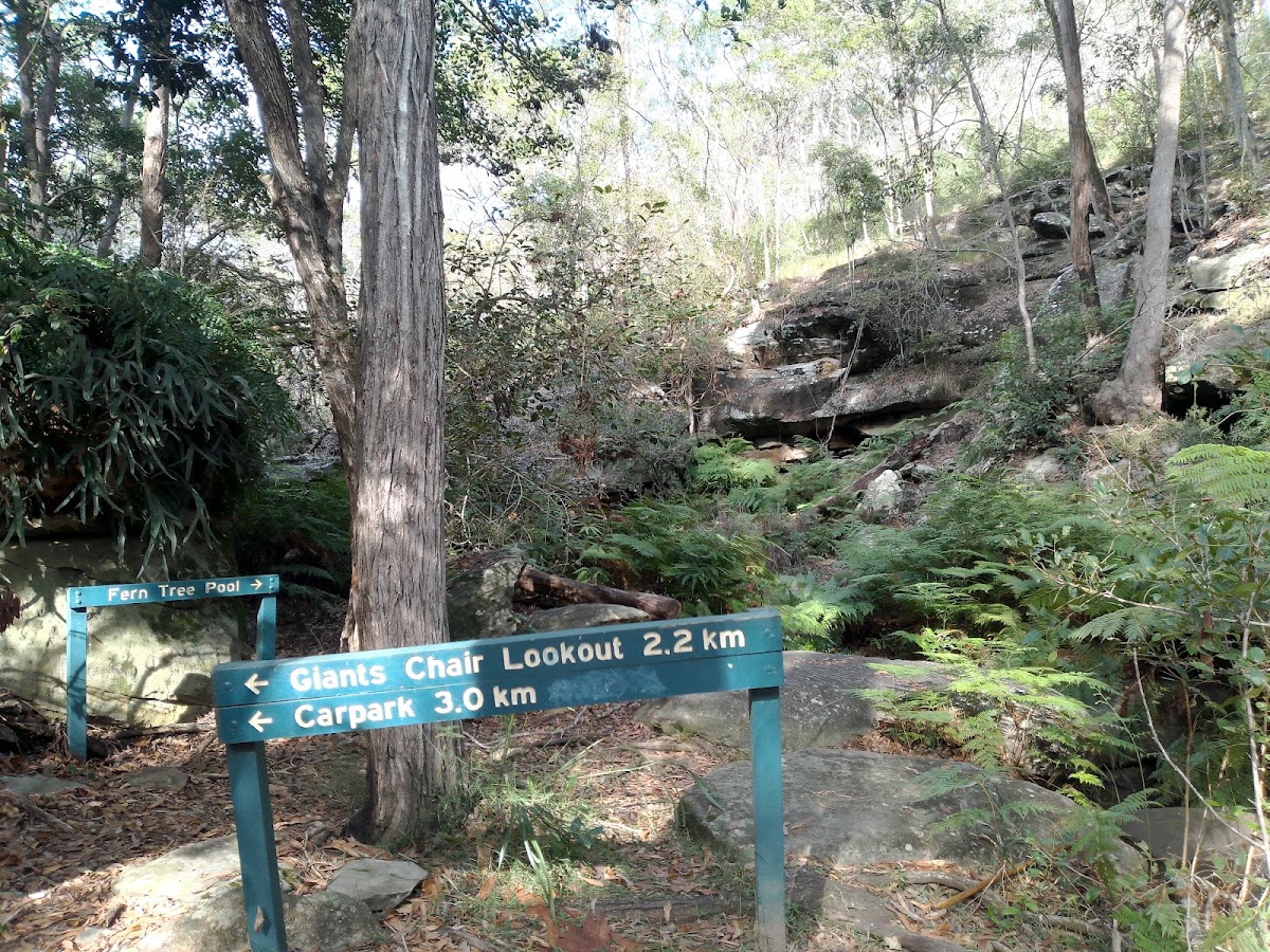 Giants Chair Lookout