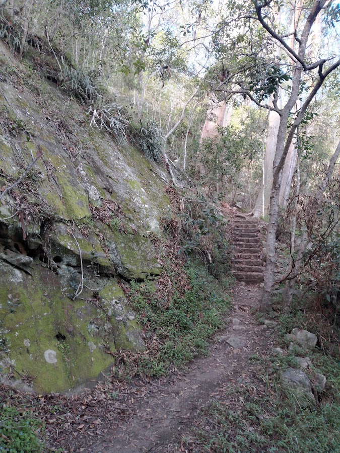 Giants Chair Lookout