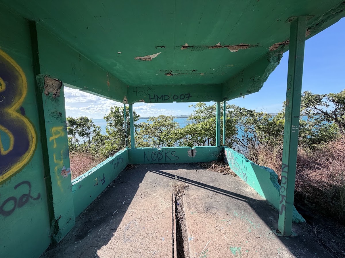 Lion's Lookout