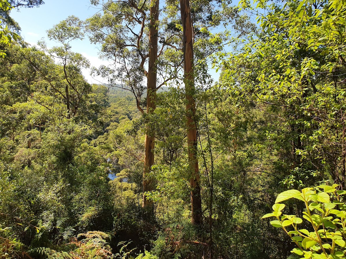 Brockman National Park