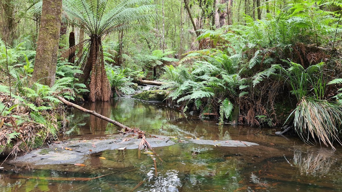 Won Wondah Falls