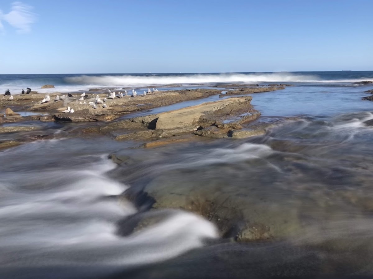 Merewether Beach