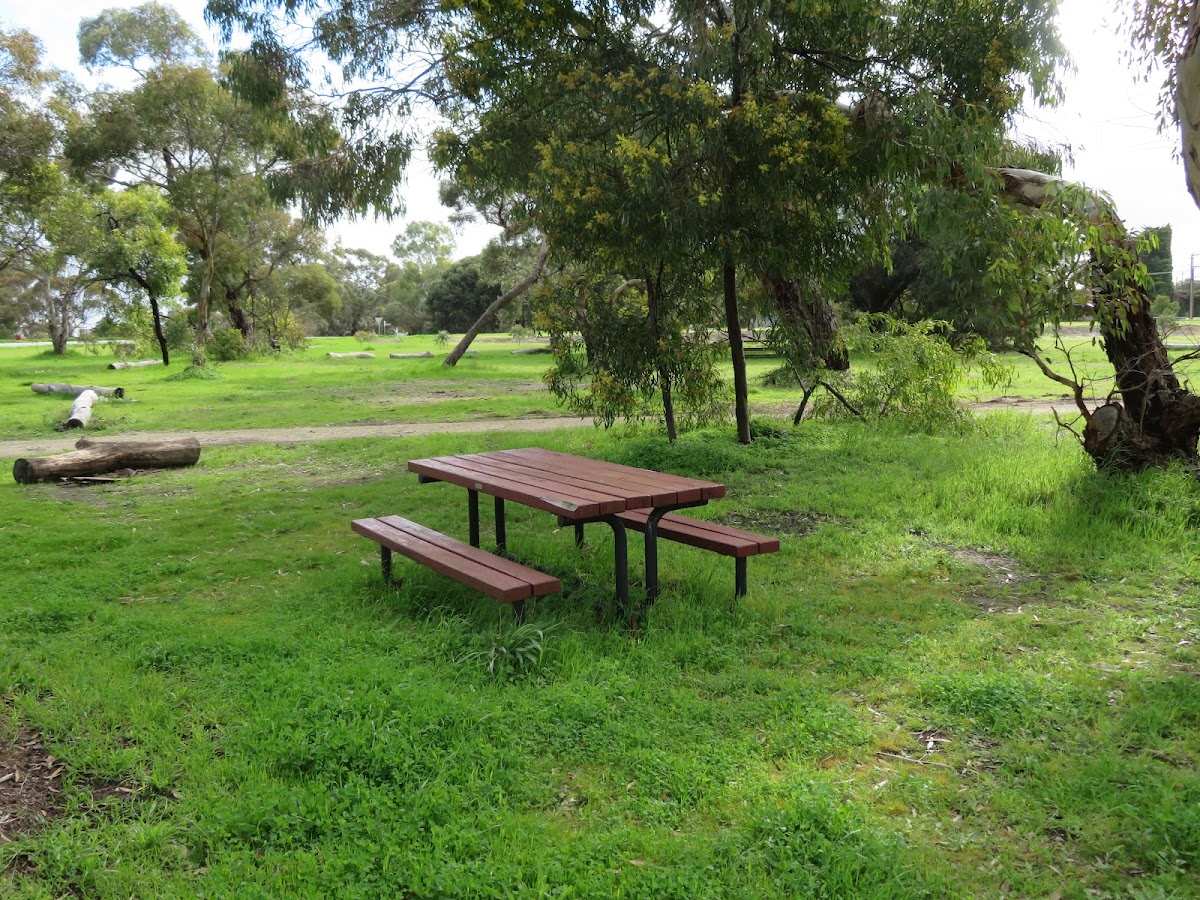 Tintinara South Rest Area