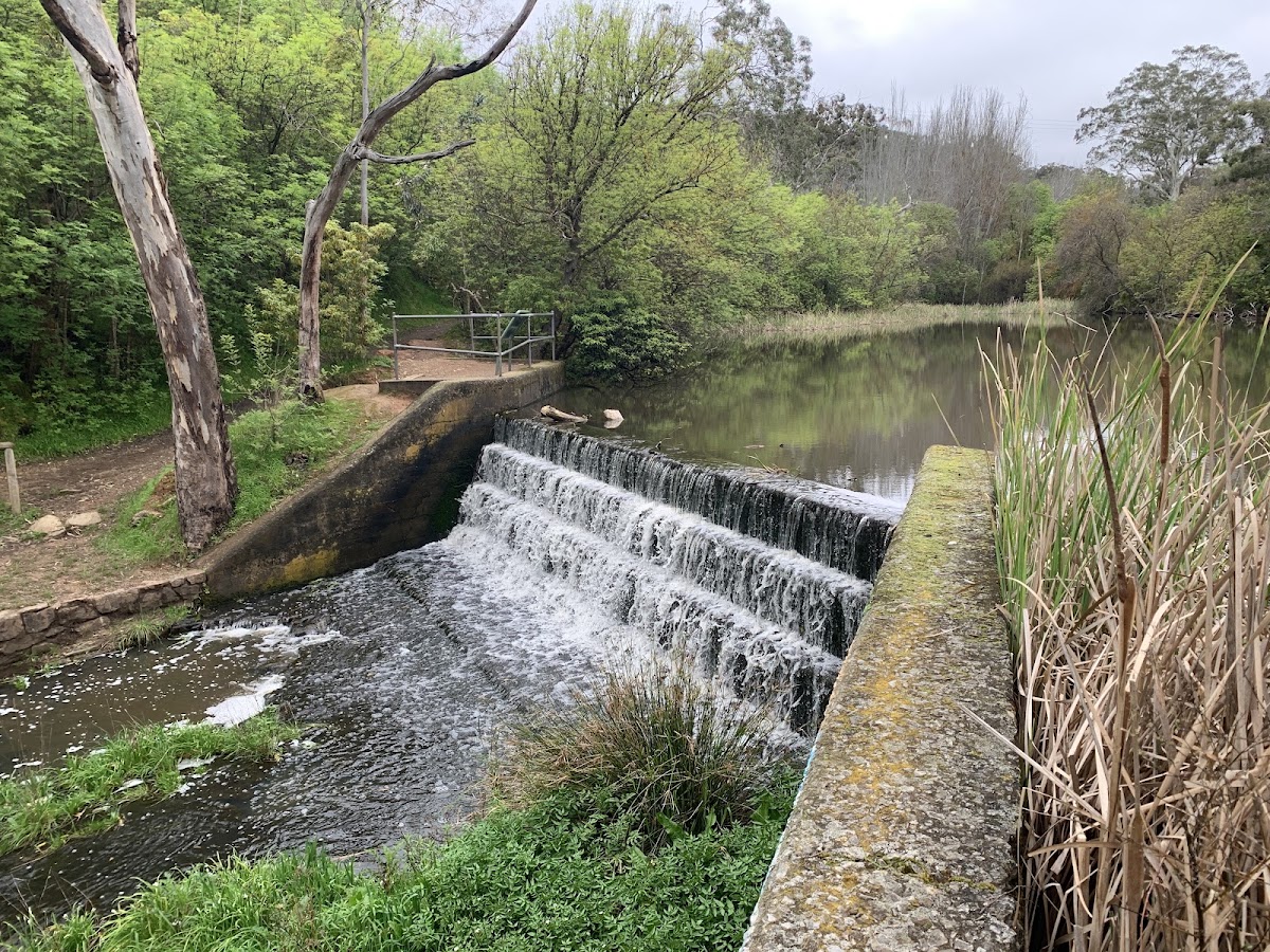 Railway Dam Lookout