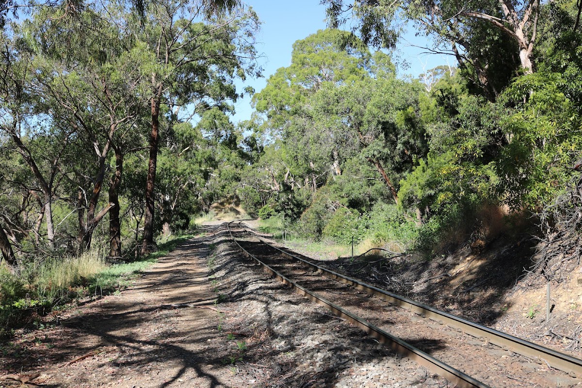 Railway Dam Lookout