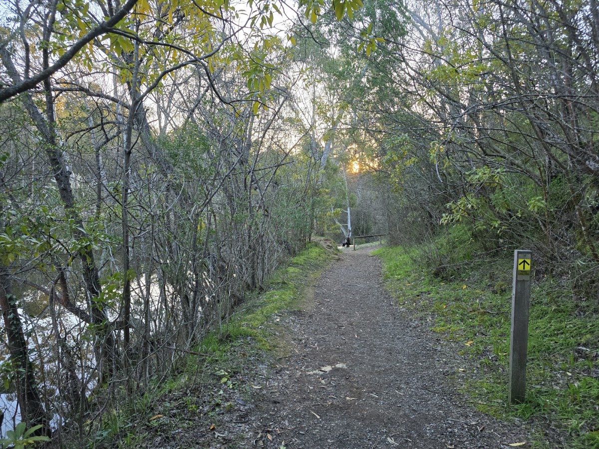 Railway Dam Lookout