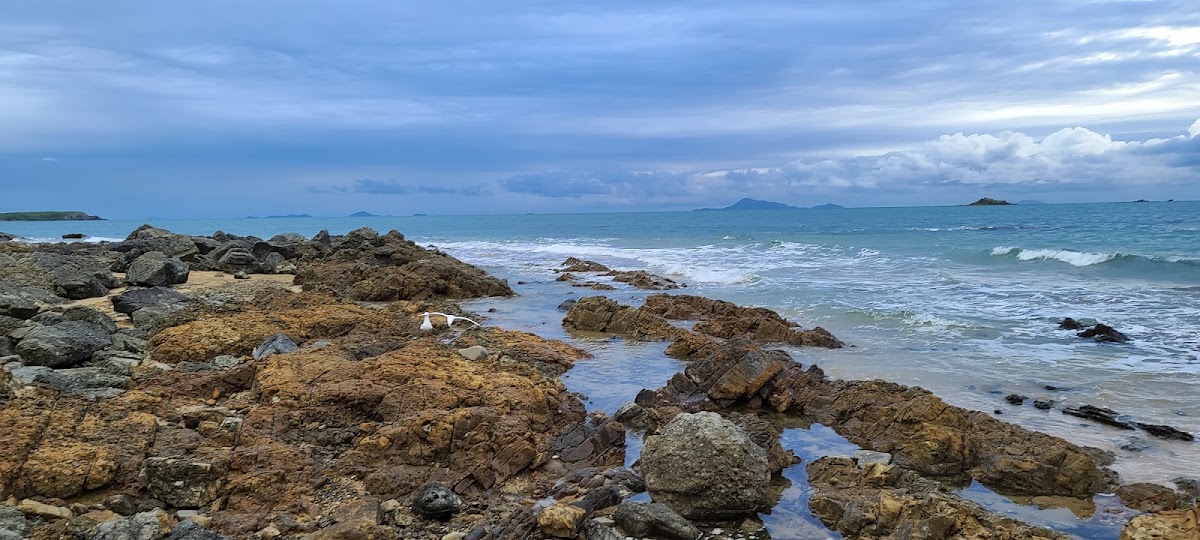 Shoal Point