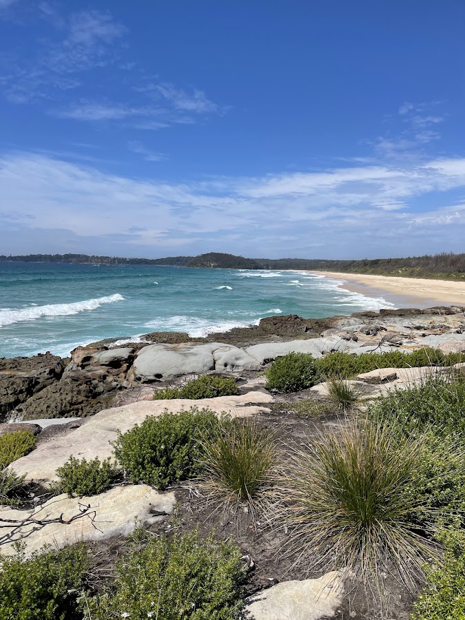 Buckley's Beach