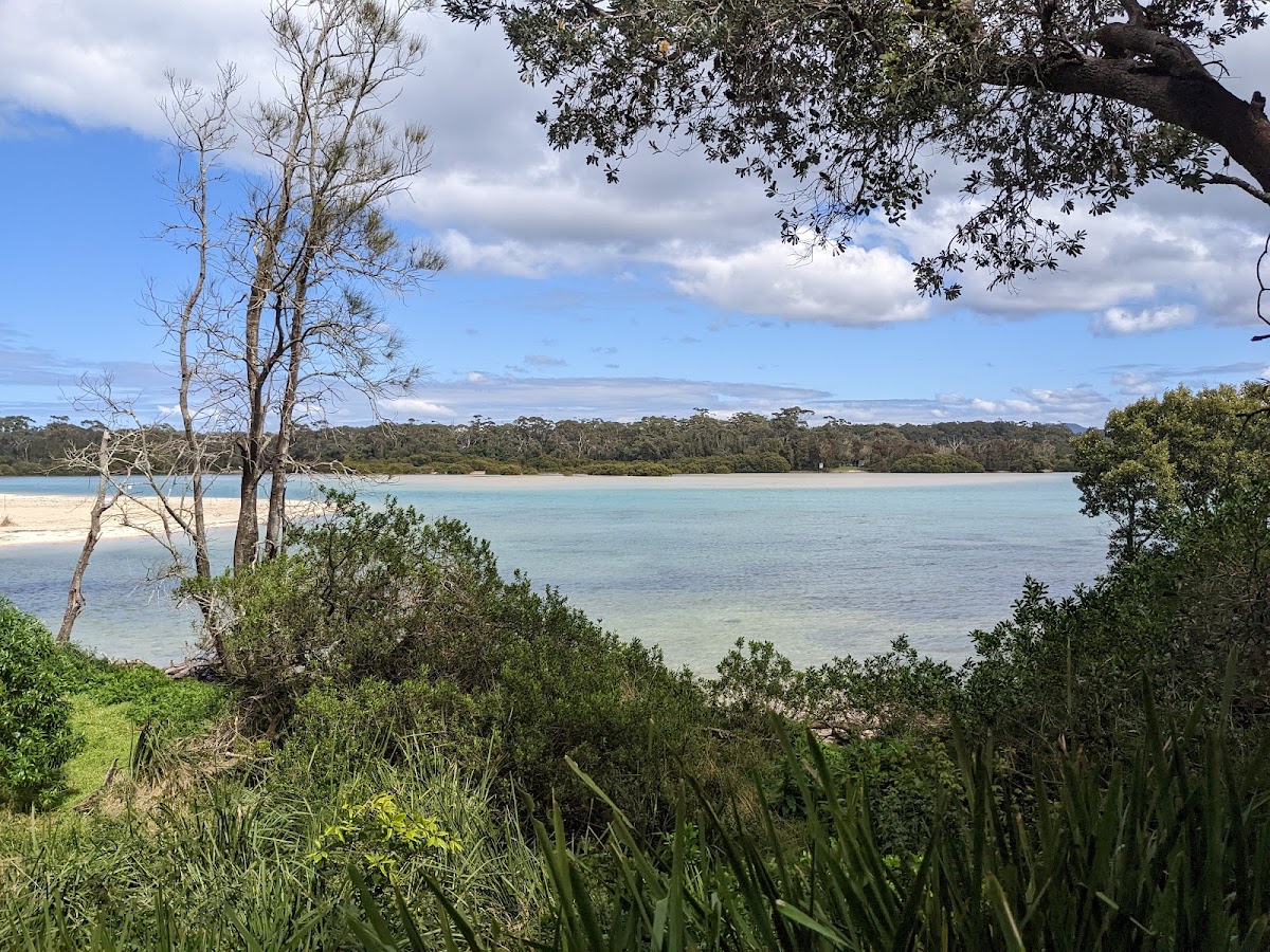 Buckley's Beach