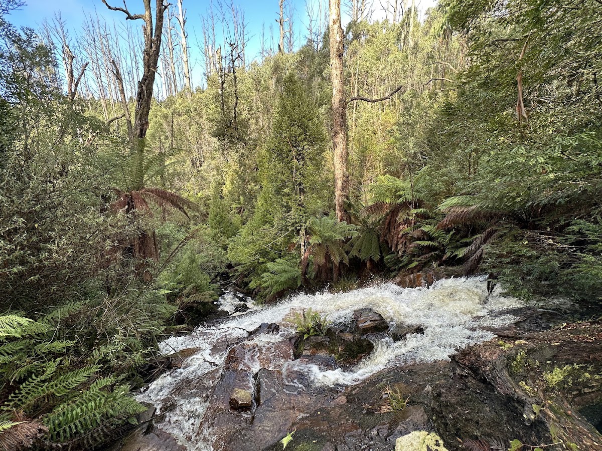 Corinella Falls