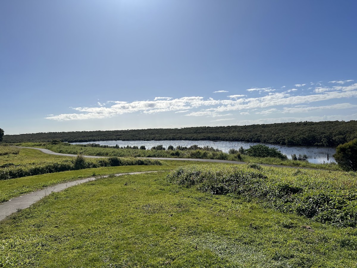 Bird Hide & Viewing Seat