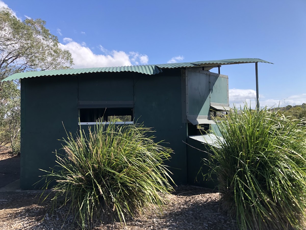 Bird Hide & Viewing Seat