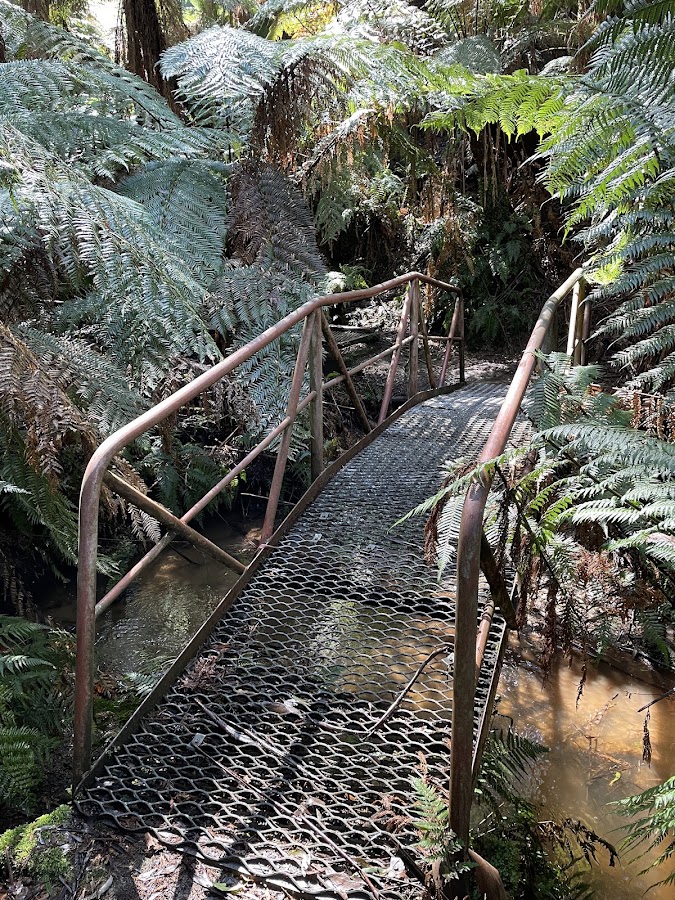 Neerim State Forest