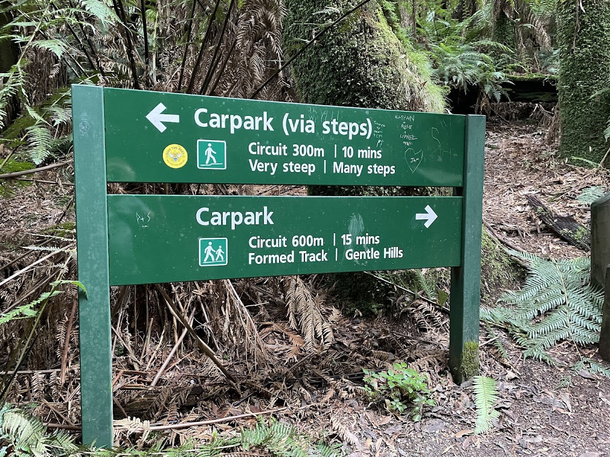 Neerim State Forest