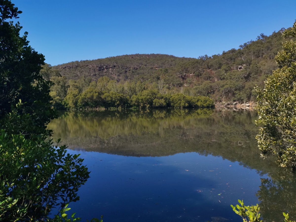 Berowra Valley National Park