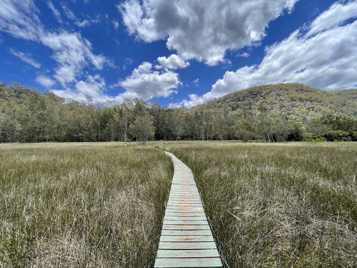 Berowra Valley National Park
