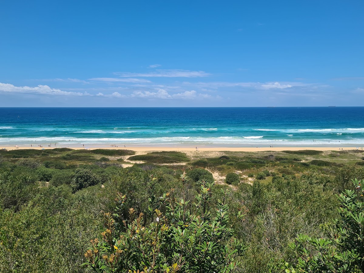 George Stanton Lookout