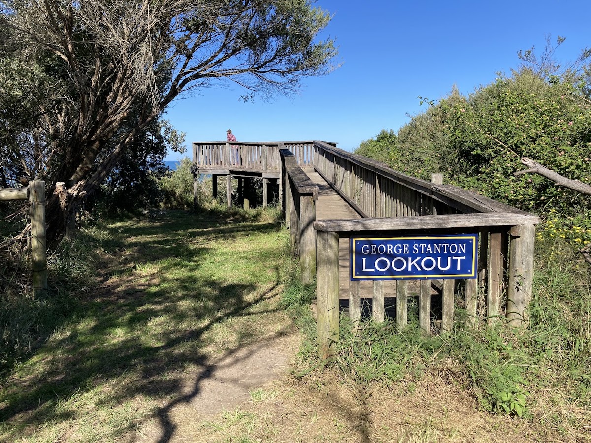 George Stanton Lookout