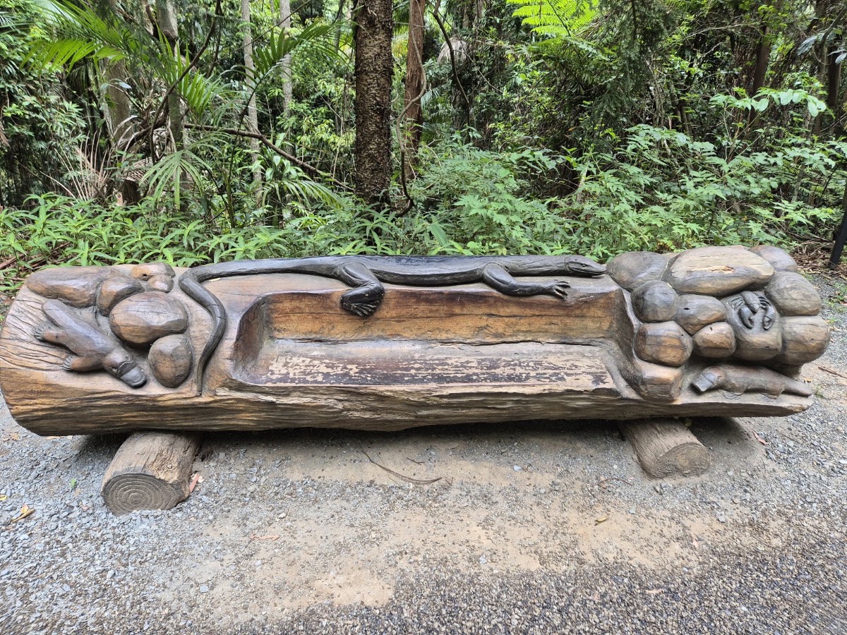Rainforest lookout
