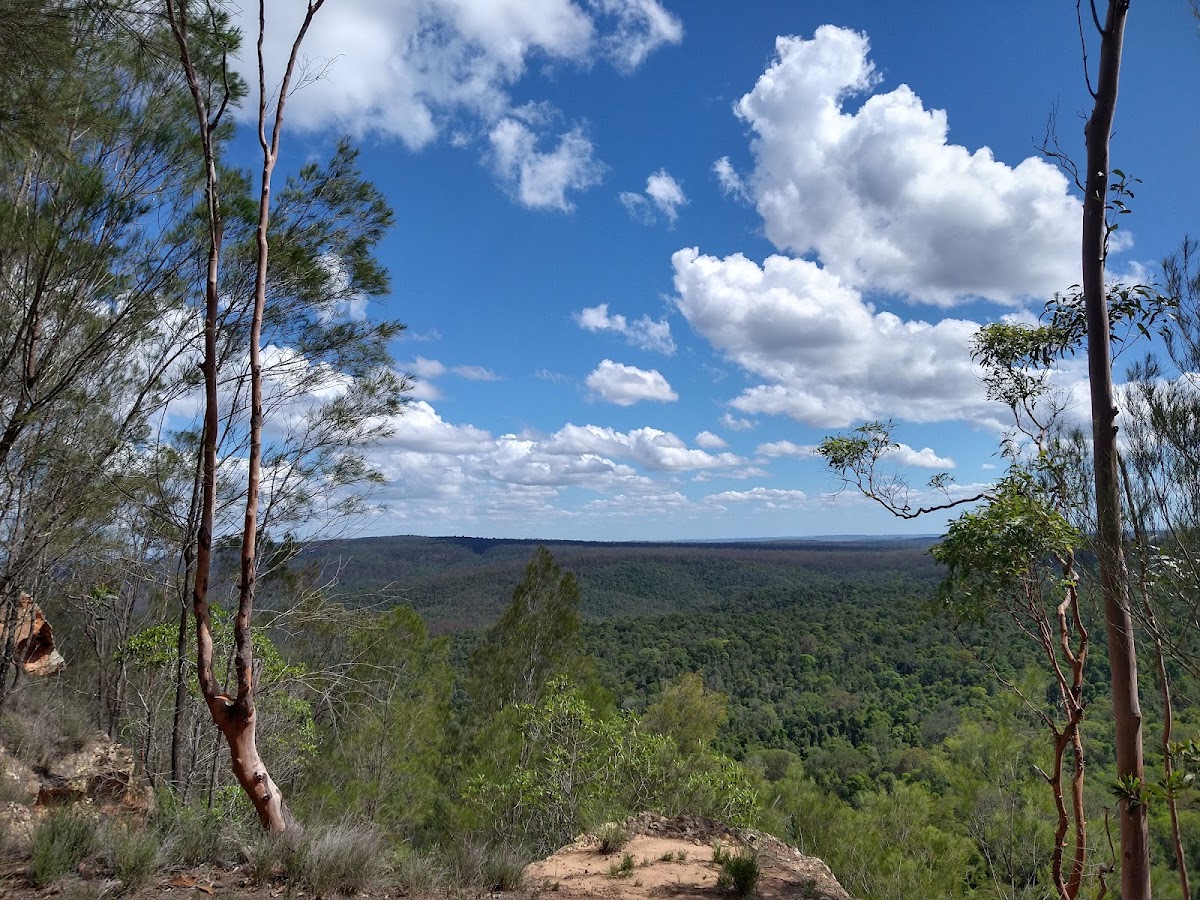Coominglah Range Rest Area / Hurdle Gully Lookout Access