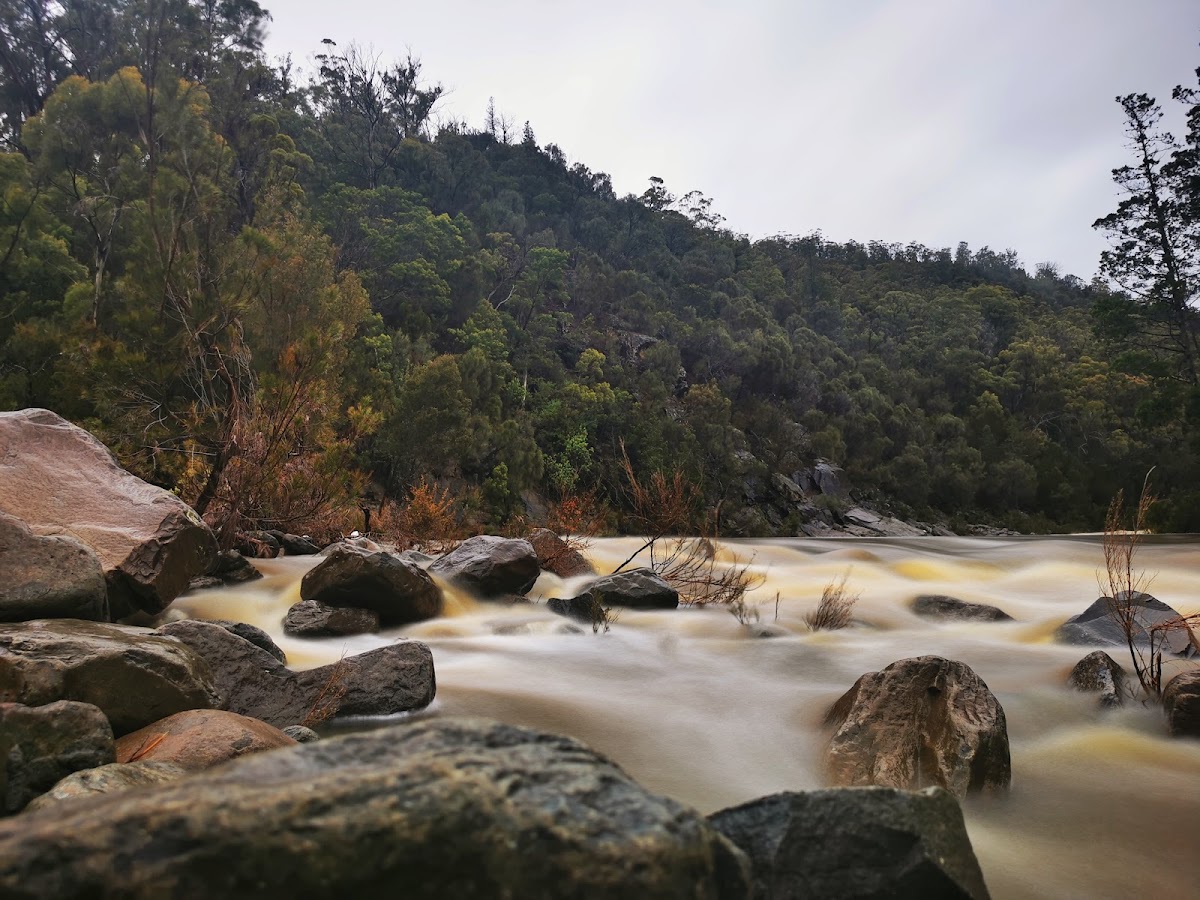 Swimming Hole