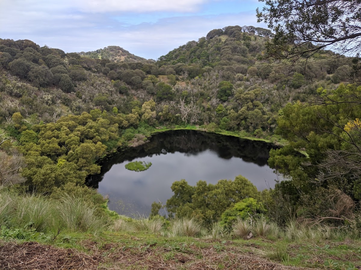 Wild Kangaroos lookout