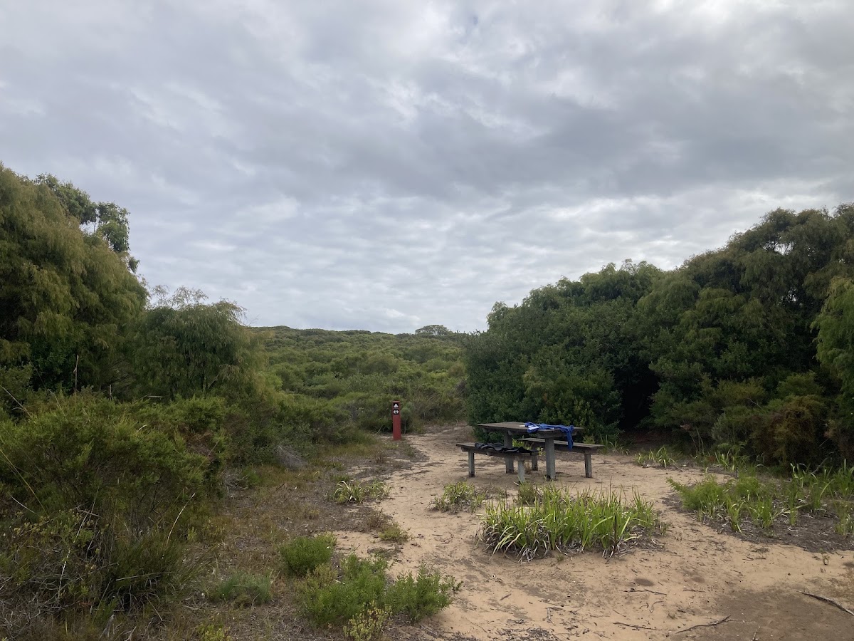Muttonbird Campsite