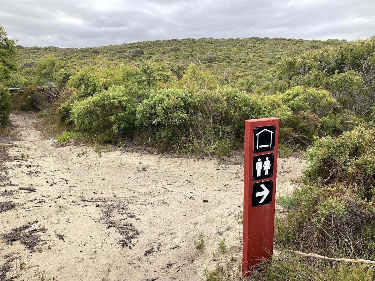 Muttonbird Campsite