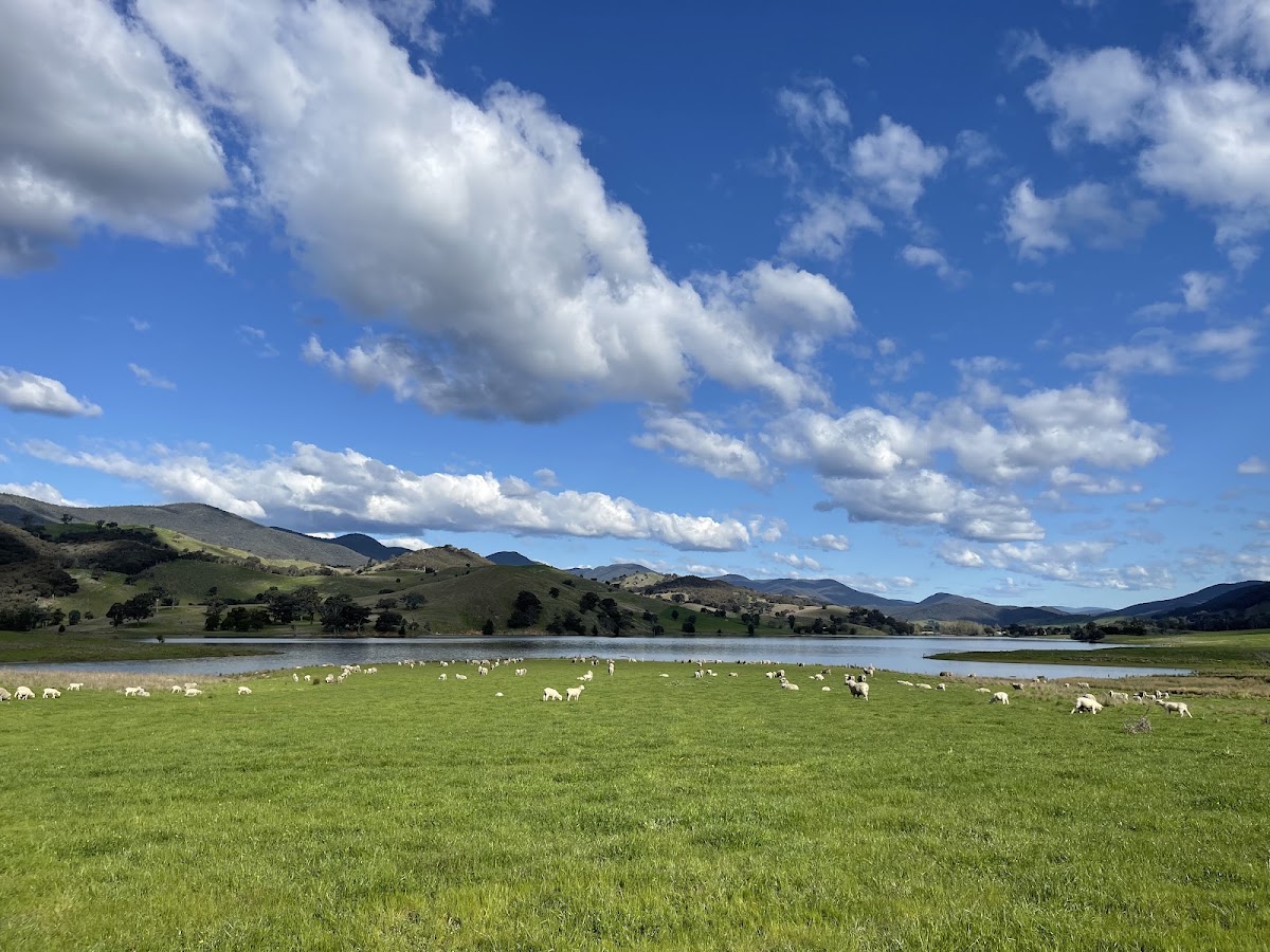 Careys Reserve