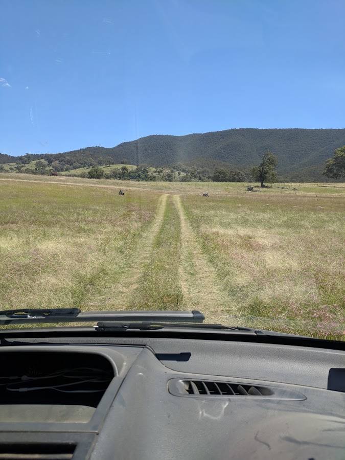 Careys Reserve