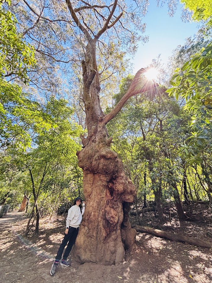 Morton National Park