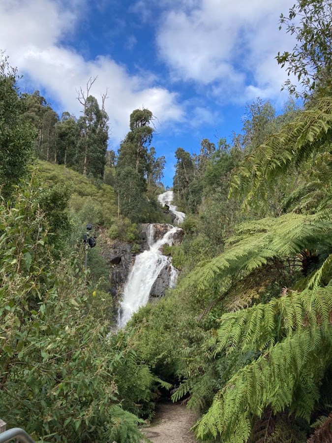 Snowy Falls