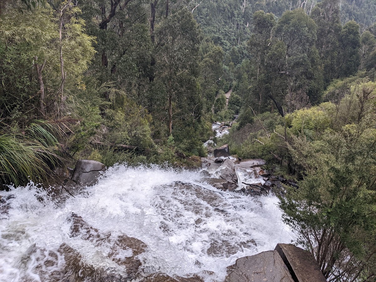 Snowy Falls
