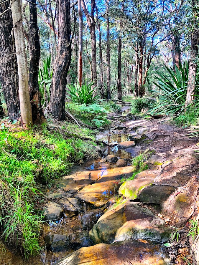 Heathcote Falls