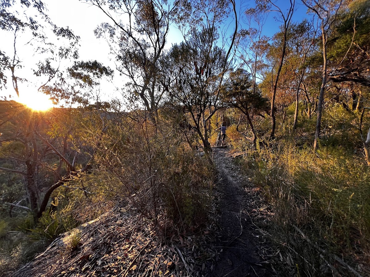 Heathcote Falls
