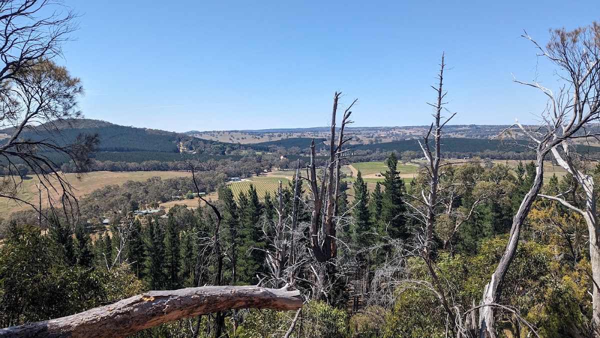 Grannies Hill Campsite