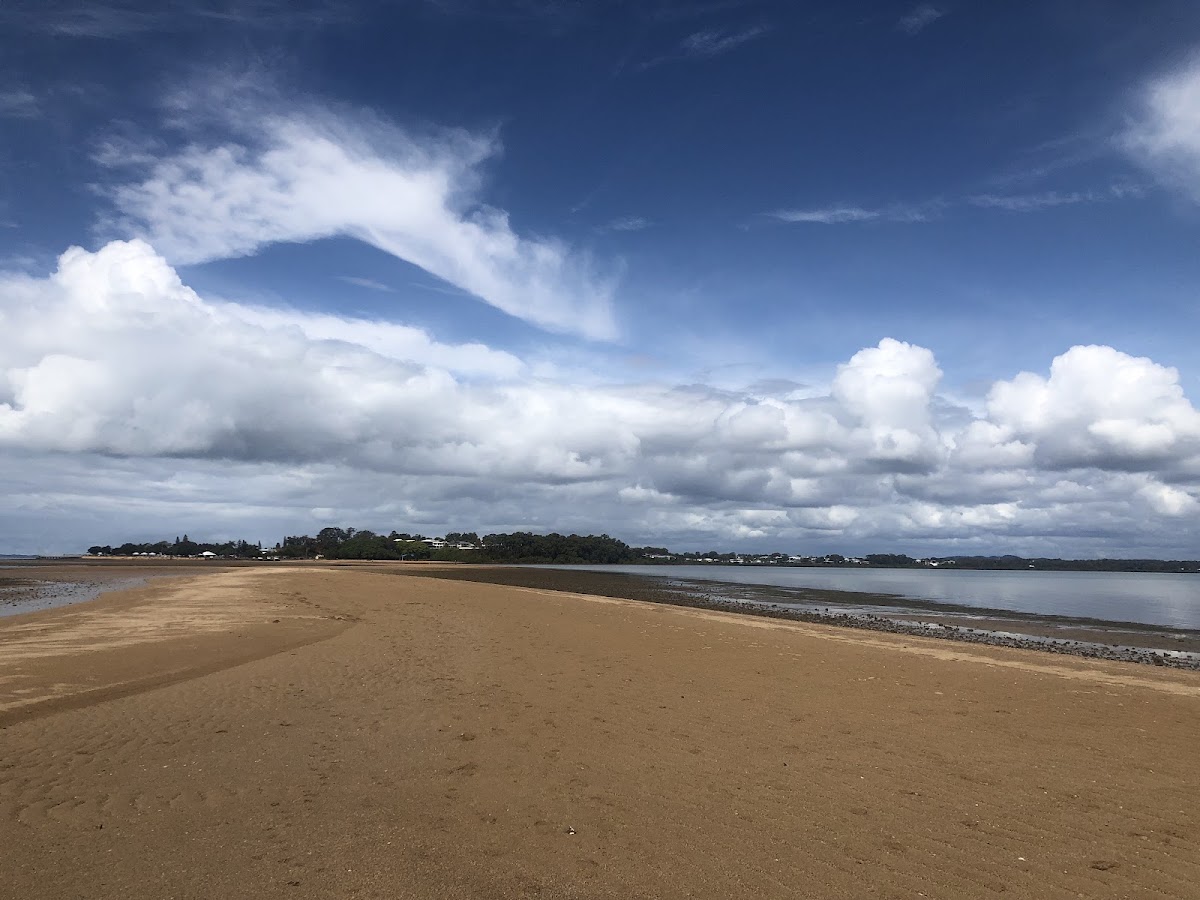 Bird Island Conservation Park