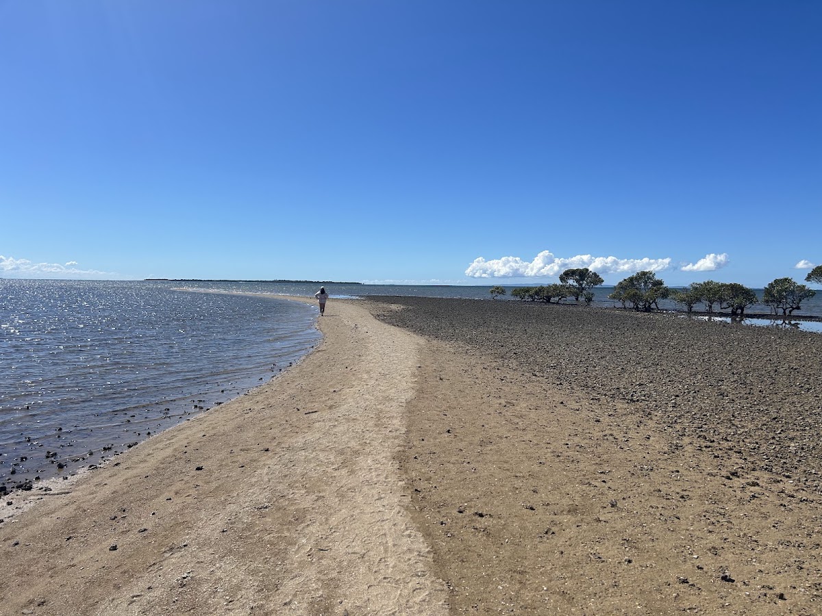 Bird Island Conservation Park