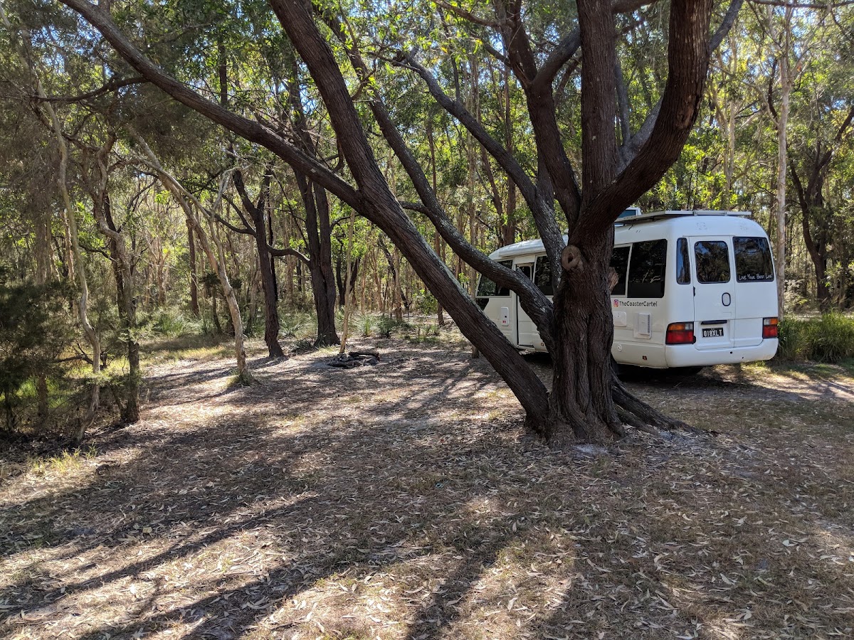 Bingera Conservation Park 1