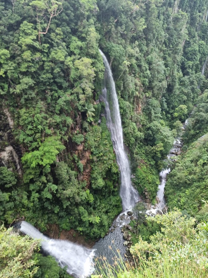 Lamington National Park