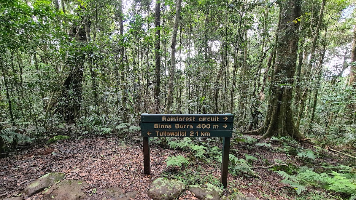 Lamington National Park