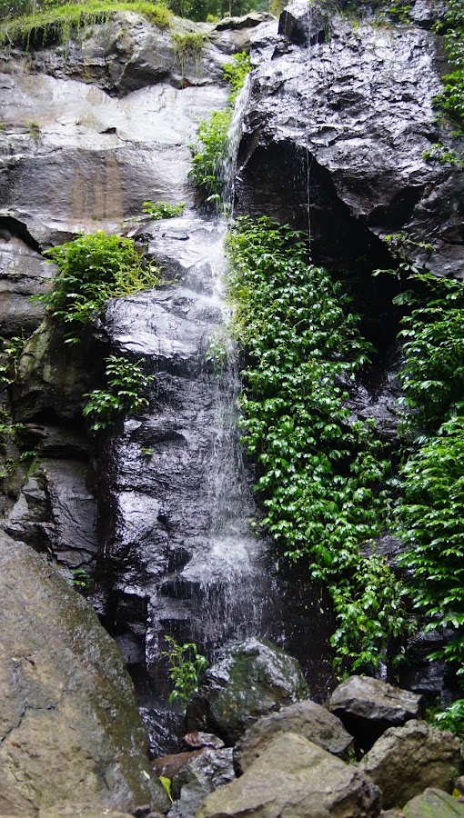 Pine Gorge Lookout